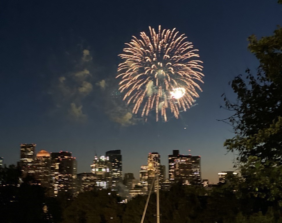 444 Sumner Street, Unit 3 Boston, MA 02128 - Photo 31 of 33