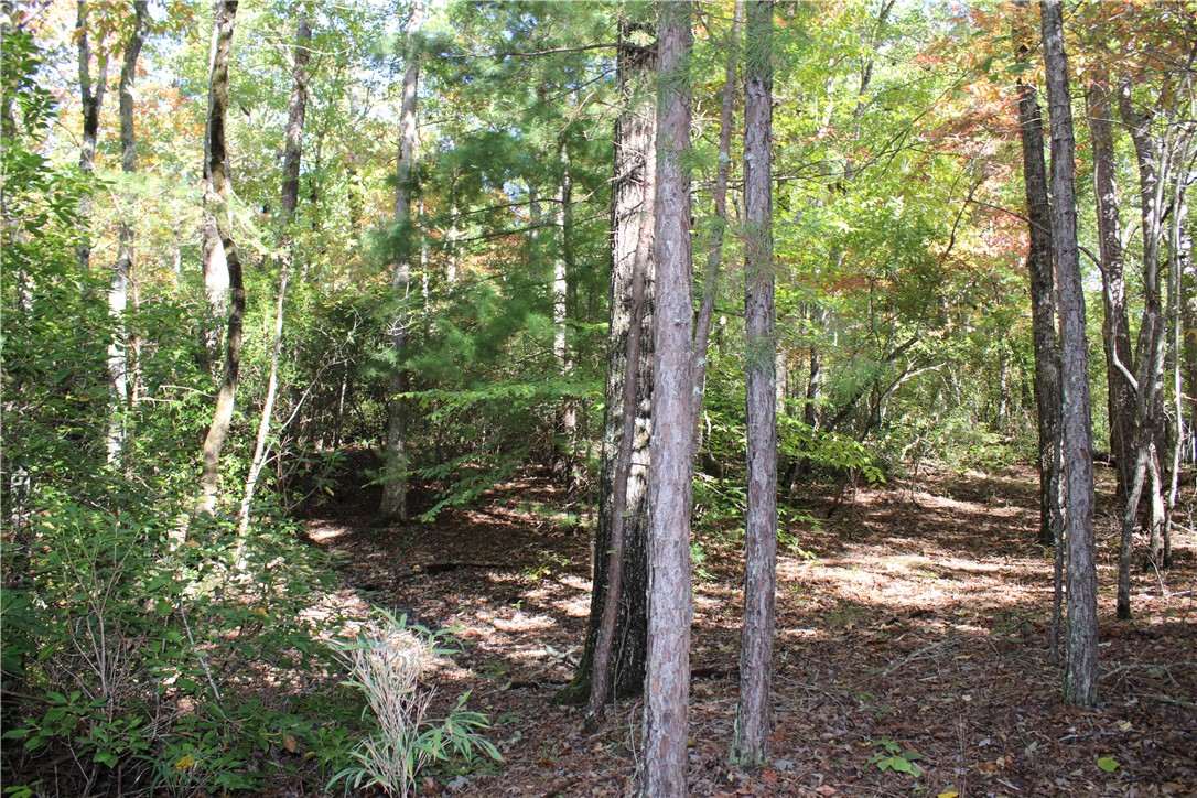 0 Busch Creek Road Walhalla, SC 29691 - Photo 1 of 11 Gallery Image 1