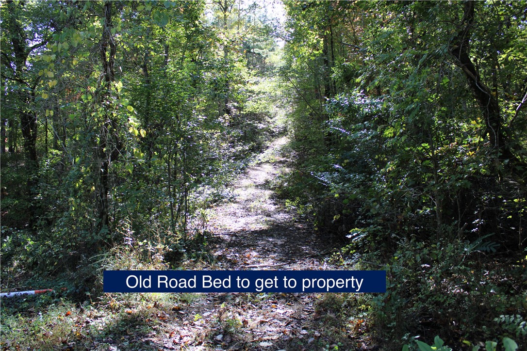 0 Busch Creek Road Walhalla, SC 29691 - Photo 2 of 11 Gallery Image 2