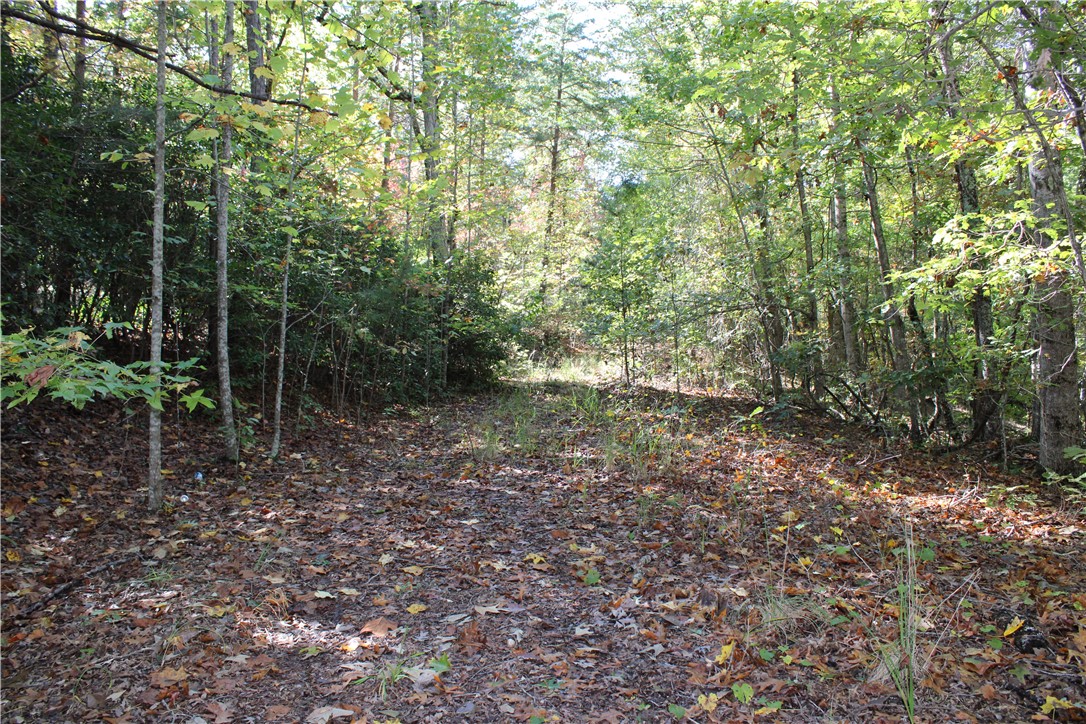 0 Busch Creek Road Walhalla, SC 29691 - Photo 3 of 11 Gallery Image 3