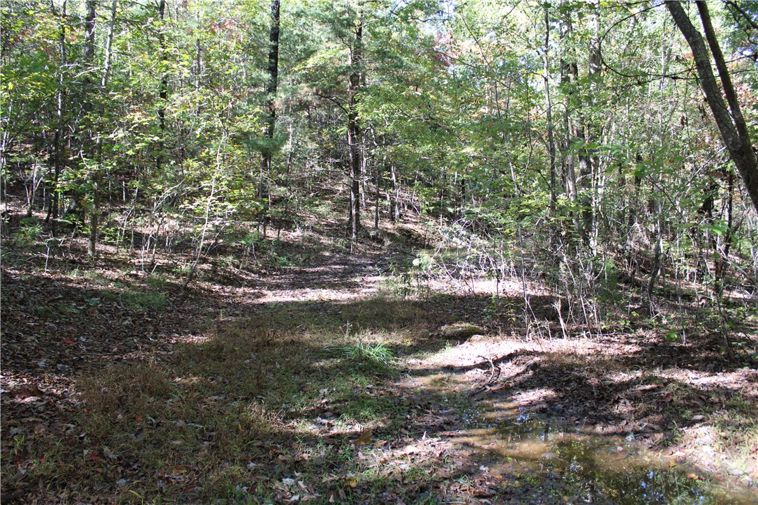 0 Busch Creek Road Walhalla, SC 29691 - Photo 9 of 11 Gallery Image 9
