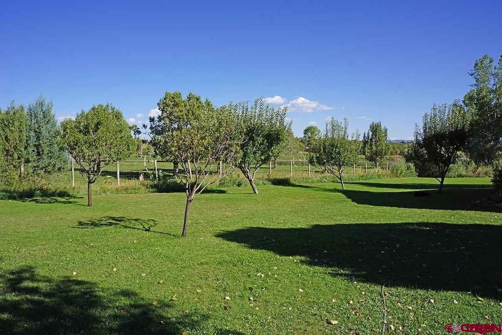 23360 Rd T Dolores, CO 81323 - Photo 35 of 45 a view of a grassy field