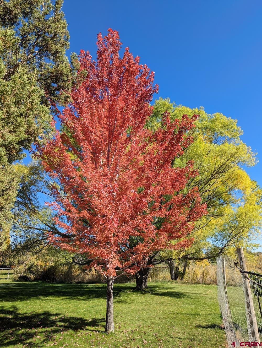 23360 Rd T Dolores, CO 81323 - Photo 41 of 45