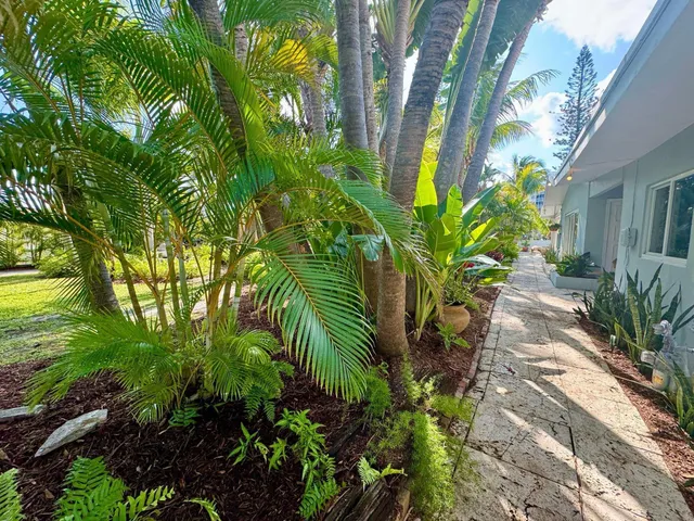 a table and chairs in the garden