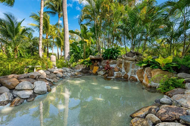 a view of a swimming pool with a garden and palm trees