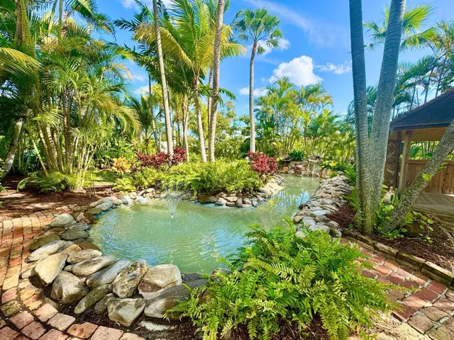 a view of a backyard