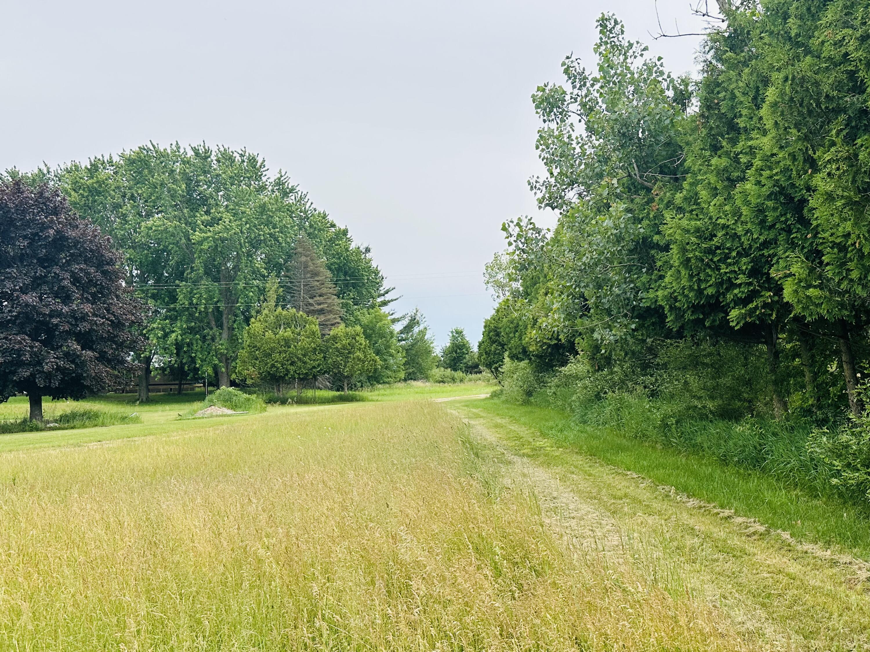 5372 Milarch Road Manistee, MI 49660 - Photo 7 of 41 Rolling hills throughout