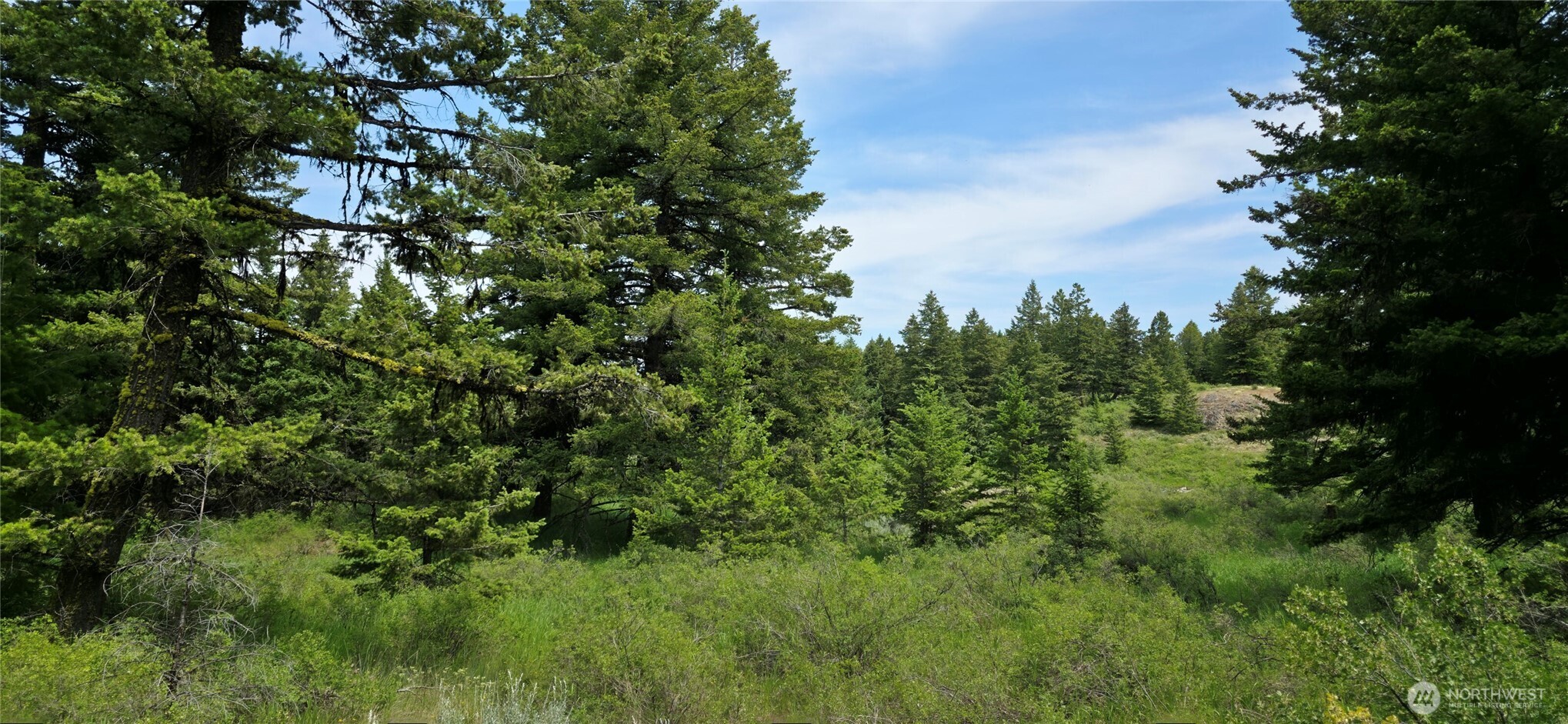 111 Fletcher Road Oroville, WA 98844 - Photo 11 of 40 Gallery Image 11