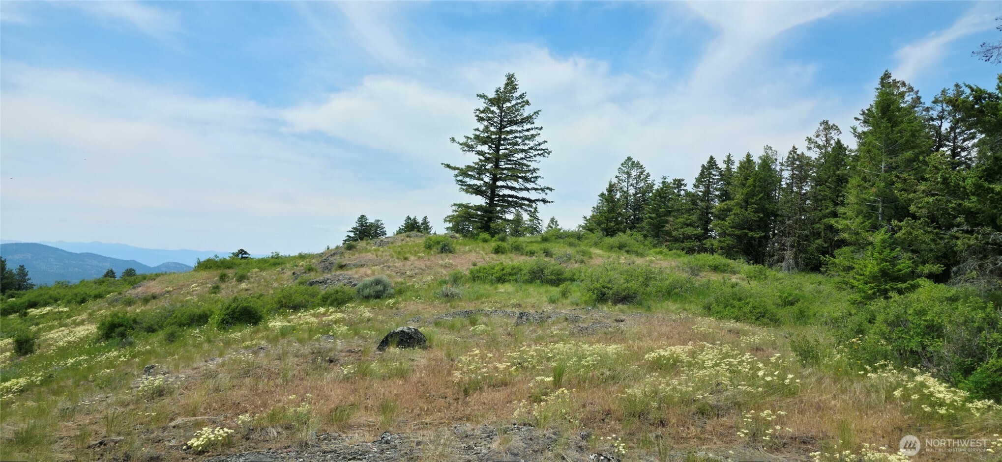 111 Fletcher Road Oroville, WA 98844 - Photo 14 of 40 Gallery Image 14