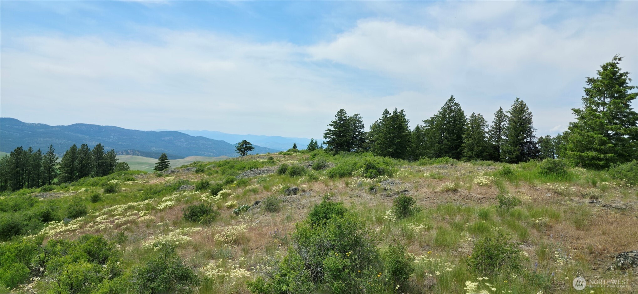 111 Fletcher Road Oroville, WA 98844 - Photo 18 of 40 Gallery Image 18