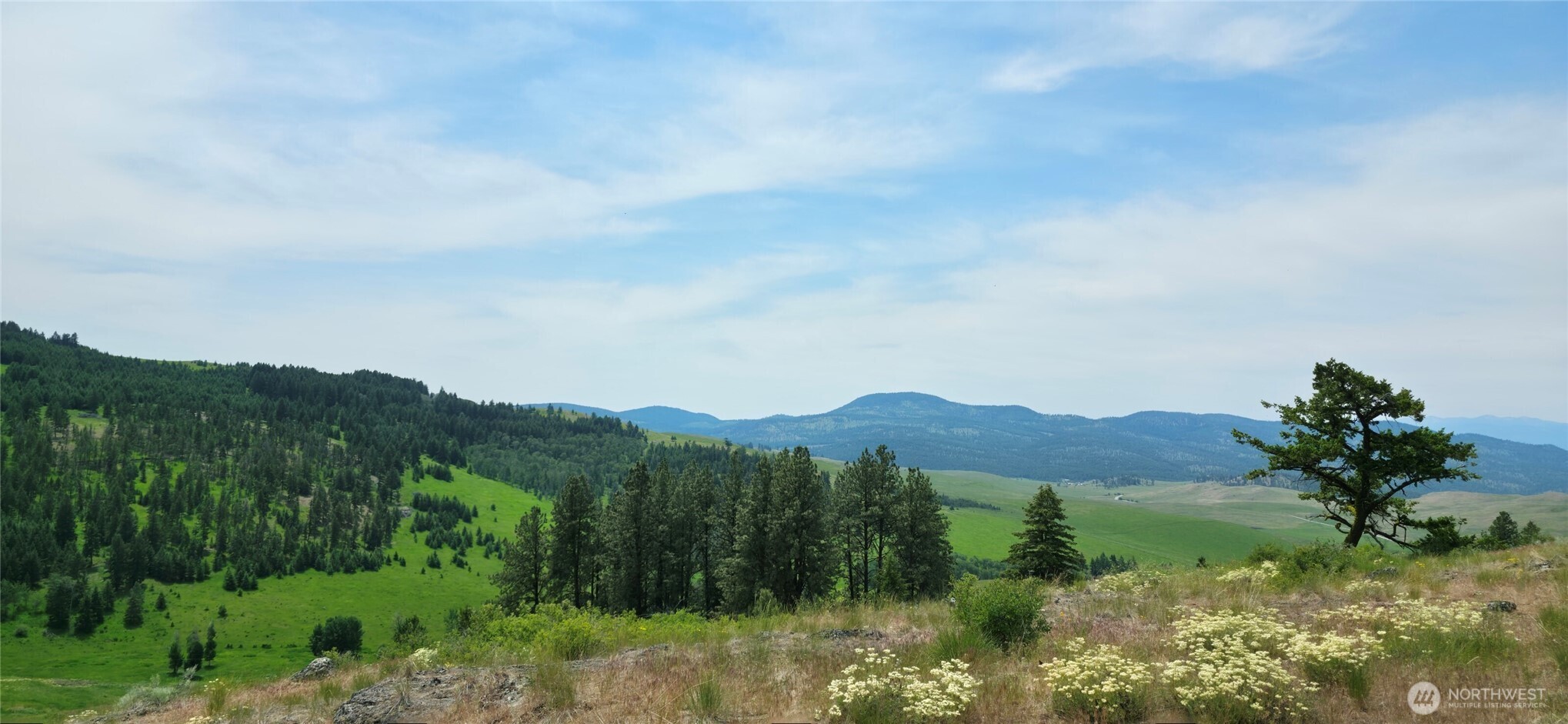 111 Fletcher Road Oroville, WA 98844 - Photo 24 of 40 Gallery Image 24