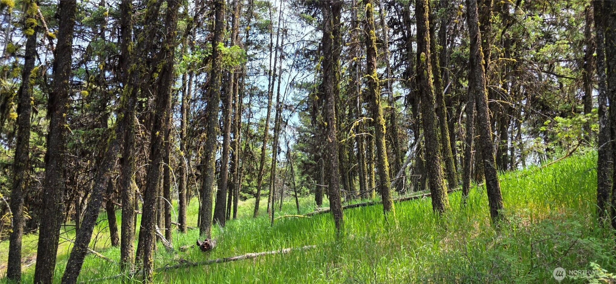 111 Fletcher Road Oroville, WA 98844 - Photo 28 of 40 Gallery Image 28