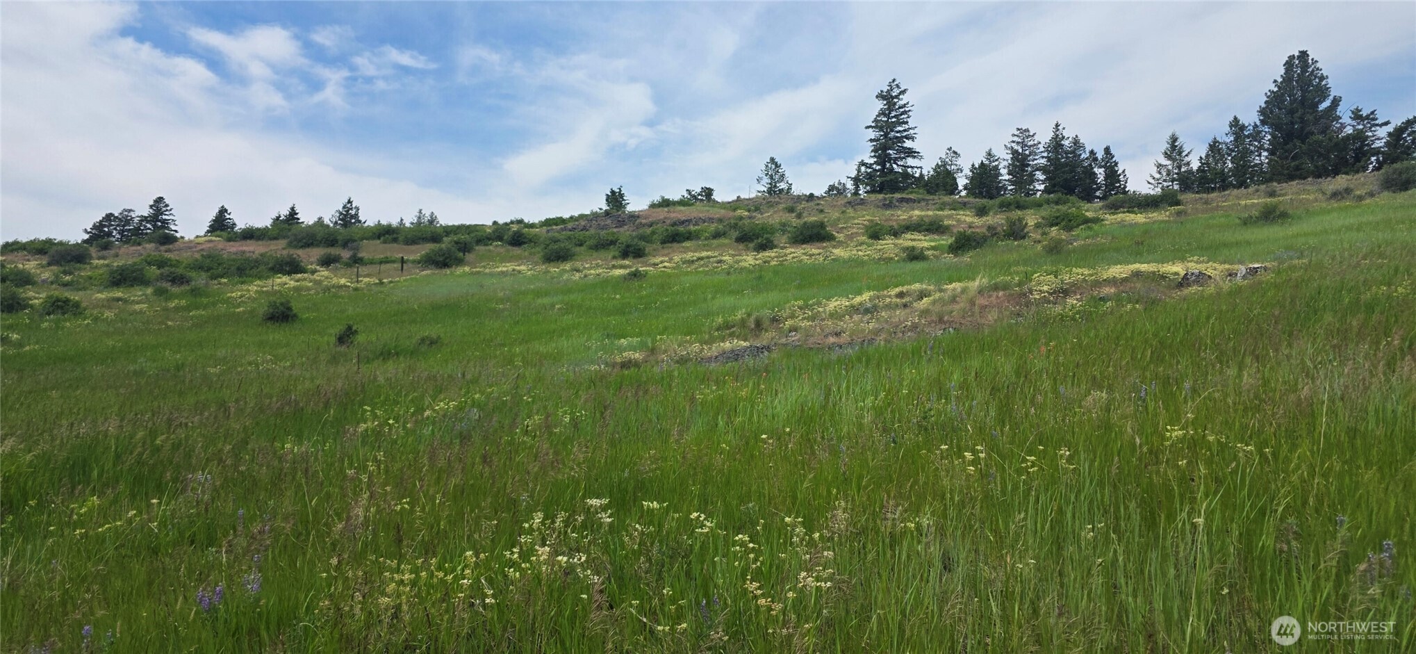 111 Fletcher Road Oroville, WA 98844 - Photo 37 of 40 Gallery Image 37