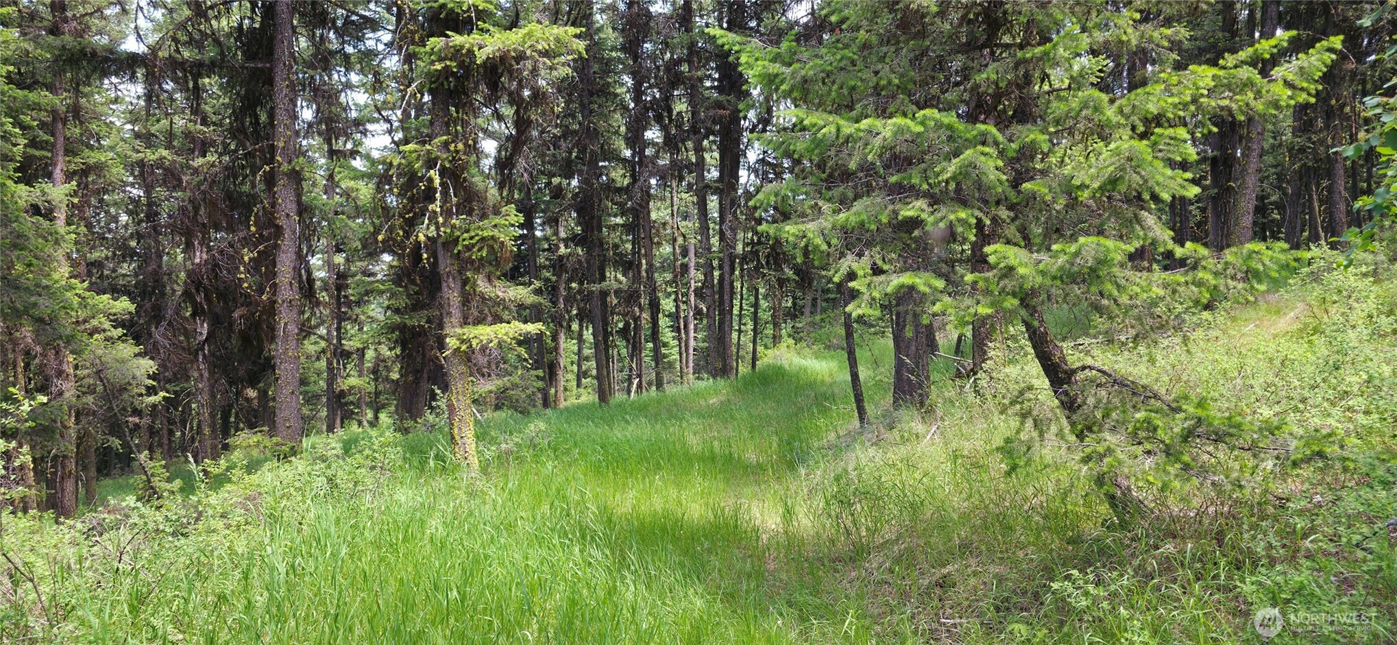 111 Fletcher Road Oroville, WA 98844 - Photo 9 of 40 Gallery Image 9