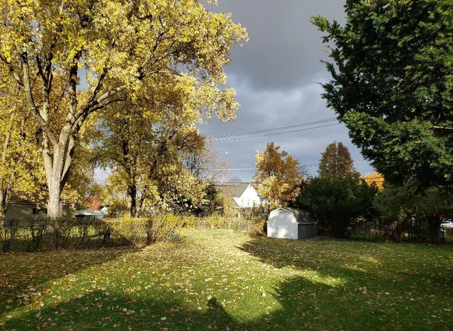 a view of a yard in front of the house
