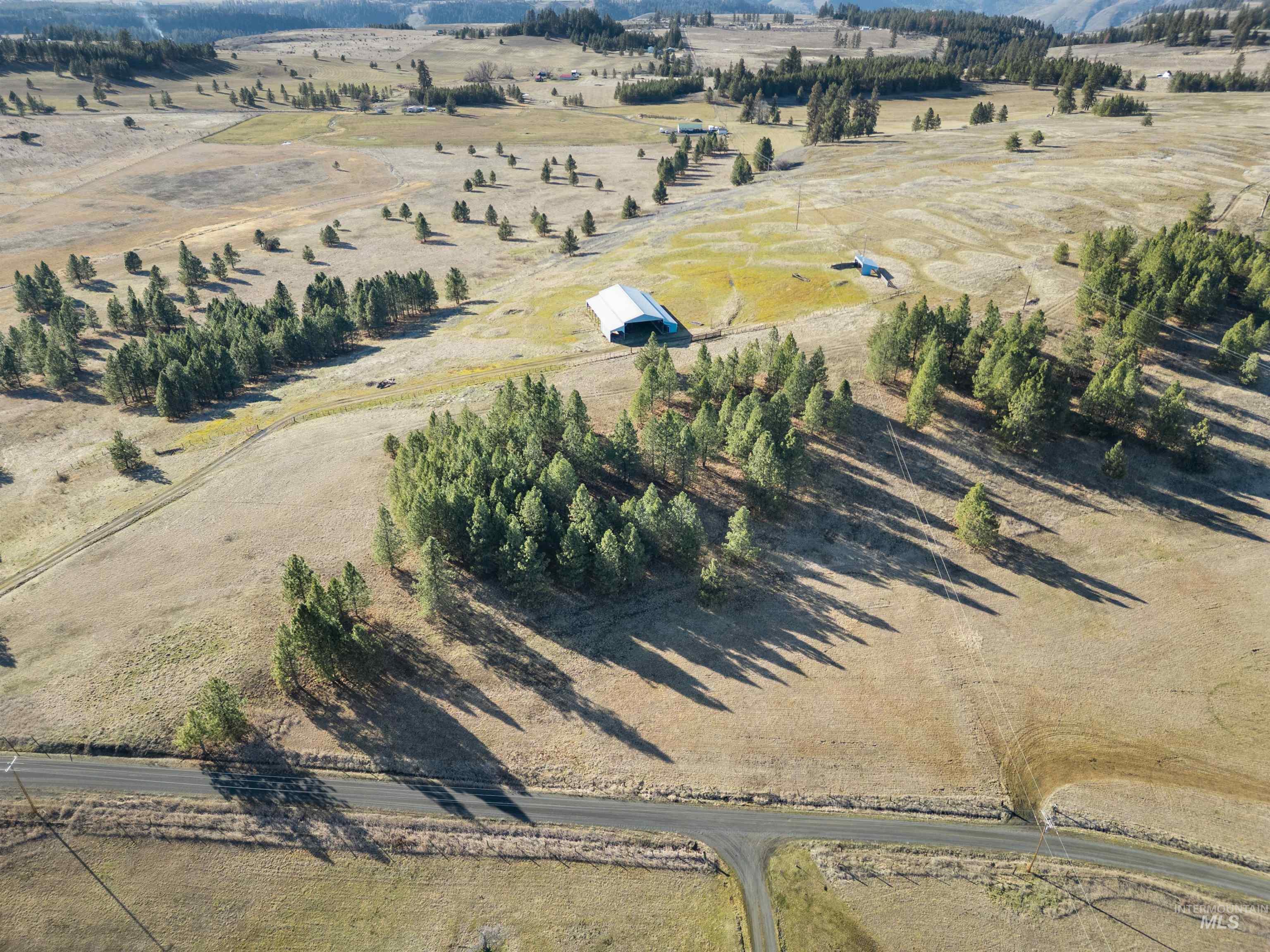 216 Ulmer Road Kooskia, ID 83539 - Photo 12 of 48 View of rural area