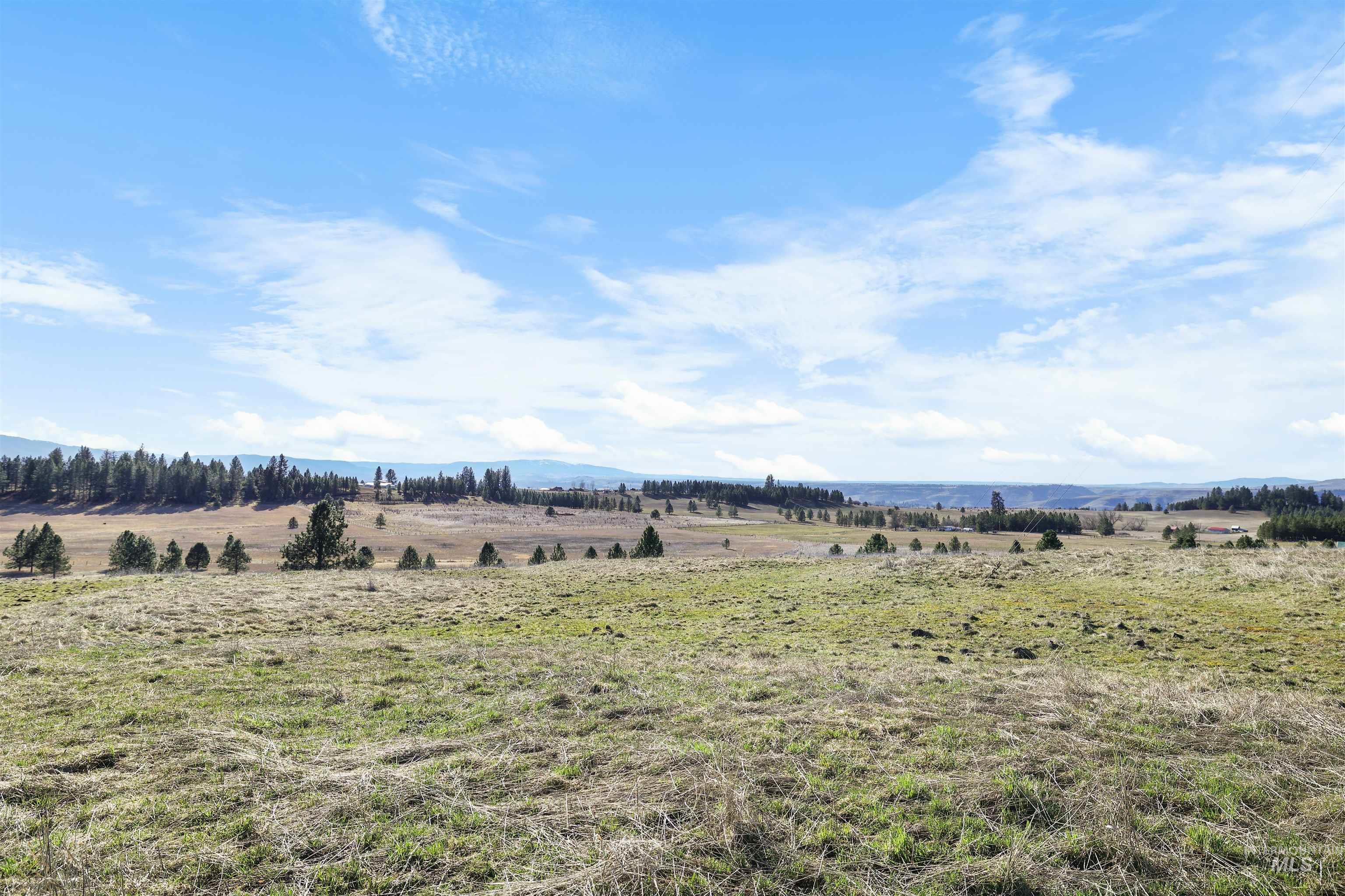 216 Ulmer Road Kooskia, ID 83539 - Photo 47 of 49 View of yard featuring a rural view
