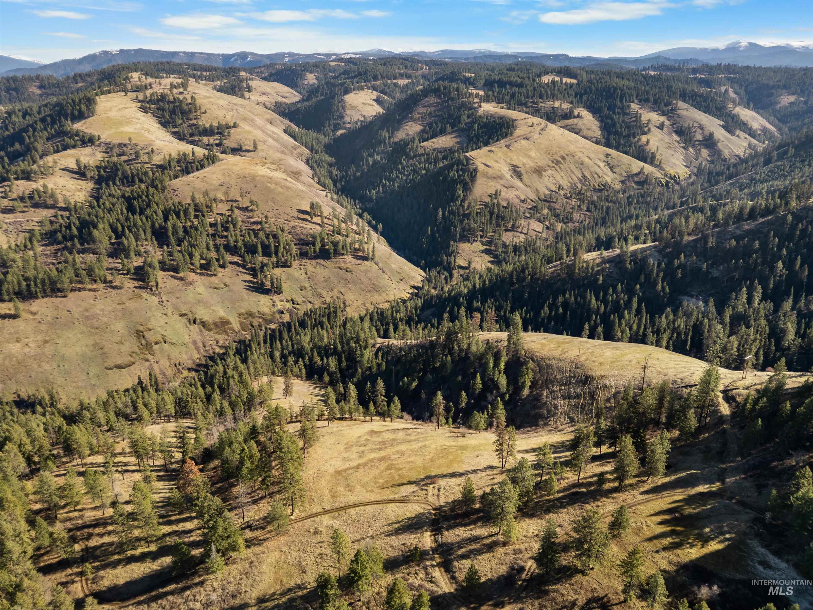 216 Ulmer Road Kooskia, ID 83539 - Photo 7 of 48 View of mountain backdrop