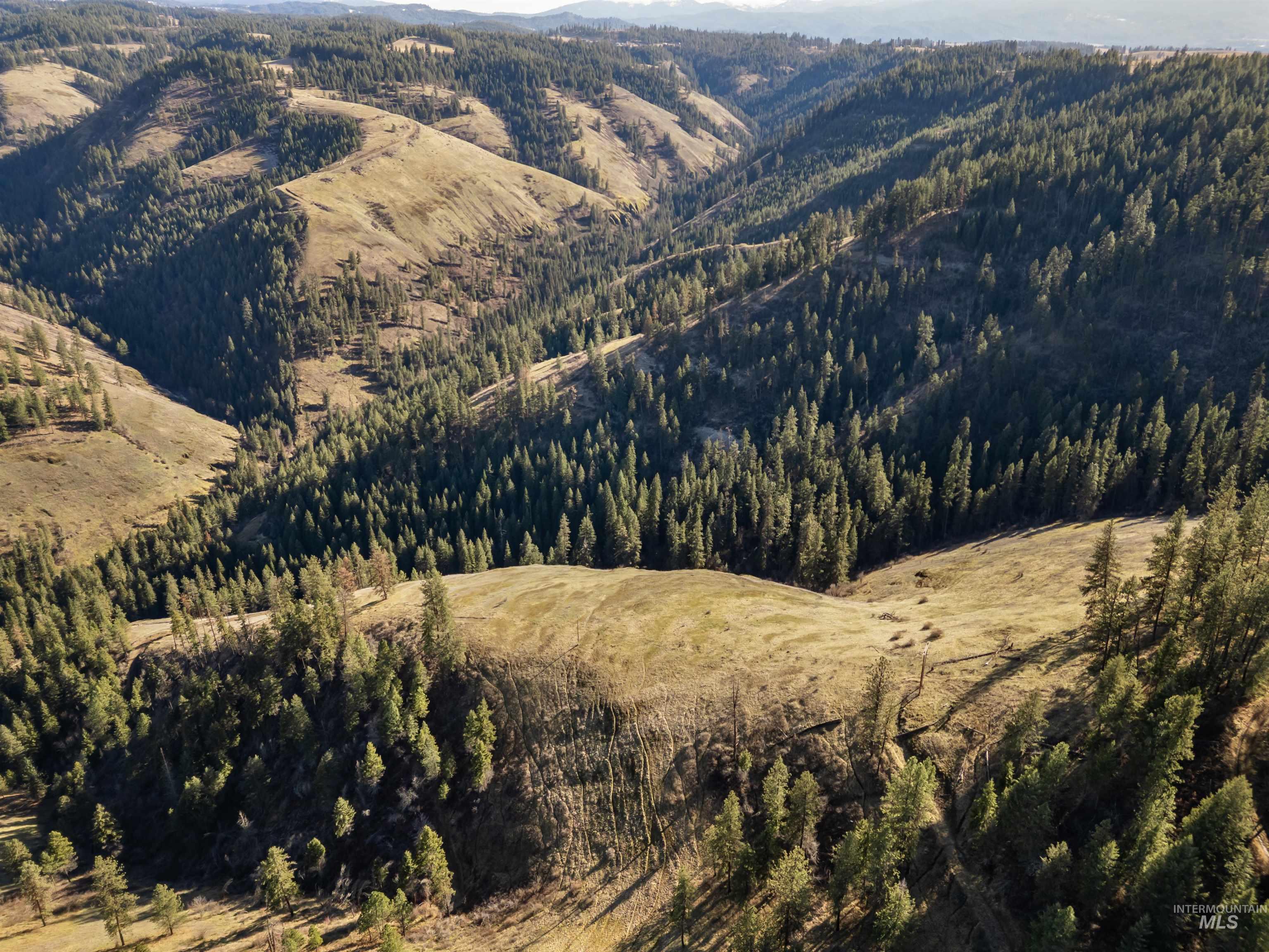 216 Ulmer Road Kooskia, ID 83539 - Photo 9 of 48 View of mountain background with a heavily wooded area