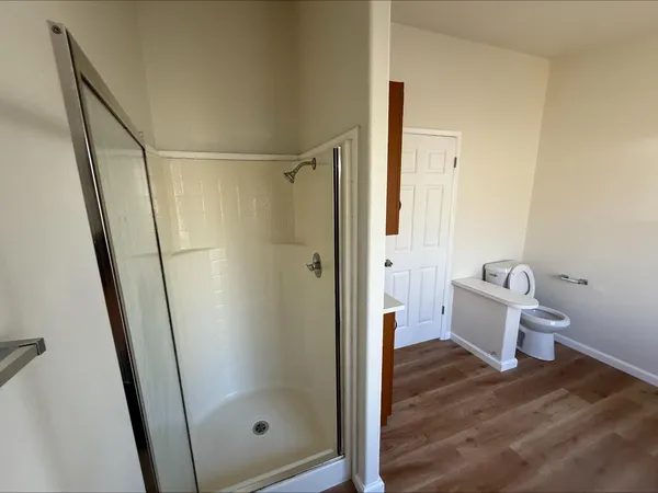 a bathroom with a shower and toilet