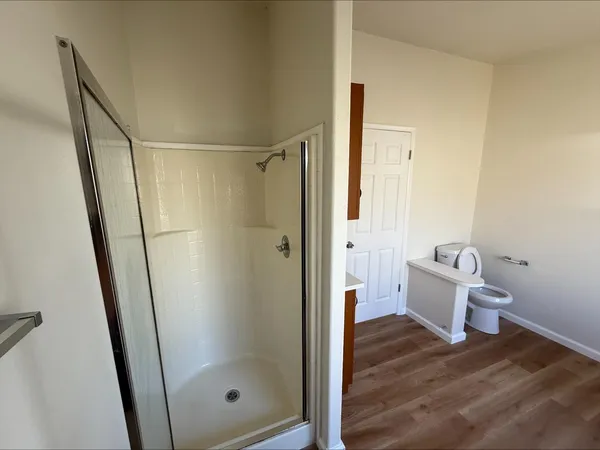 a bathroom with a shower and toilet