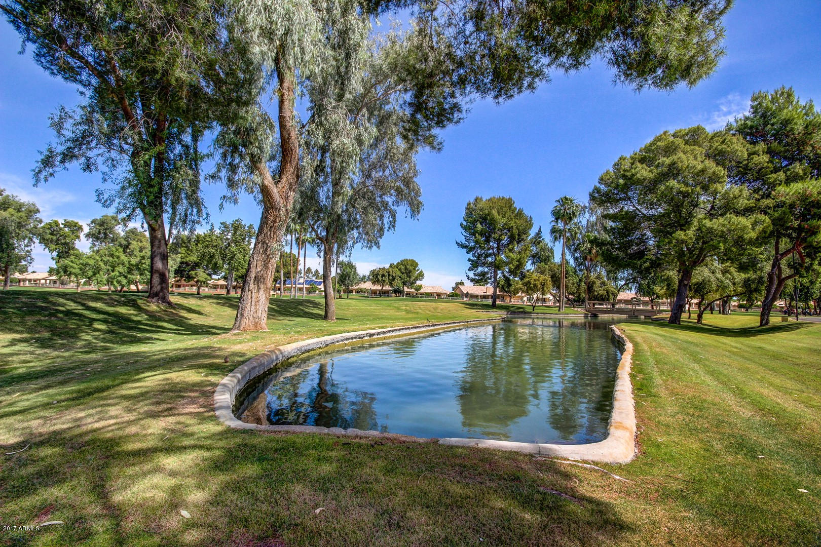 14300 West Bell Road, Unit 447 Surprise, AZ 85374 - Photo 23 of 48 Sun Village (5)