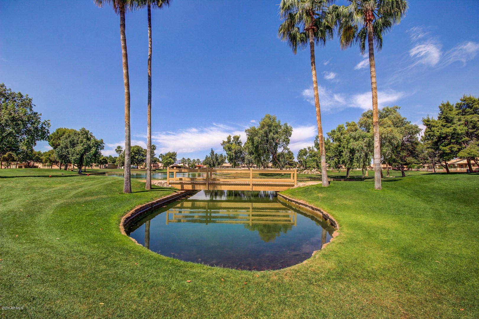 14300 West Bell Road, Unit 447 Surprise, AZ 85374 - Photo 27 of 48 Sun Village (9)