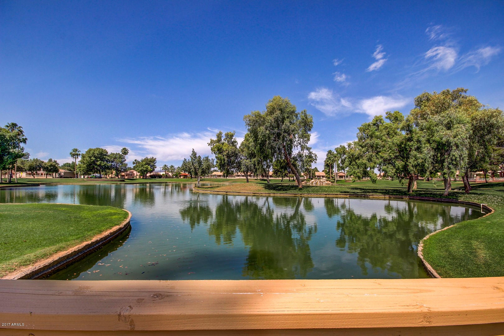 14300 West Bell Road, Unit 447 Surprise, AZ 85374 - Photo 28 of 48 Sun Village (10)