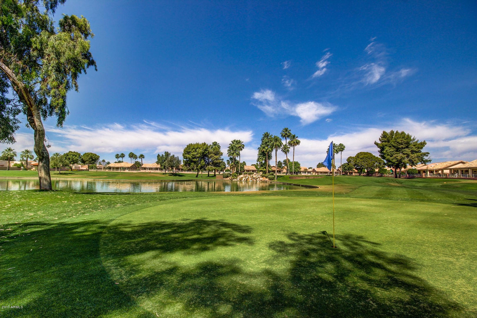 14300 West Bell Road, Unit 447 Surprise, AZ 85374 - Photo 29 of 48 Sun Village (12)