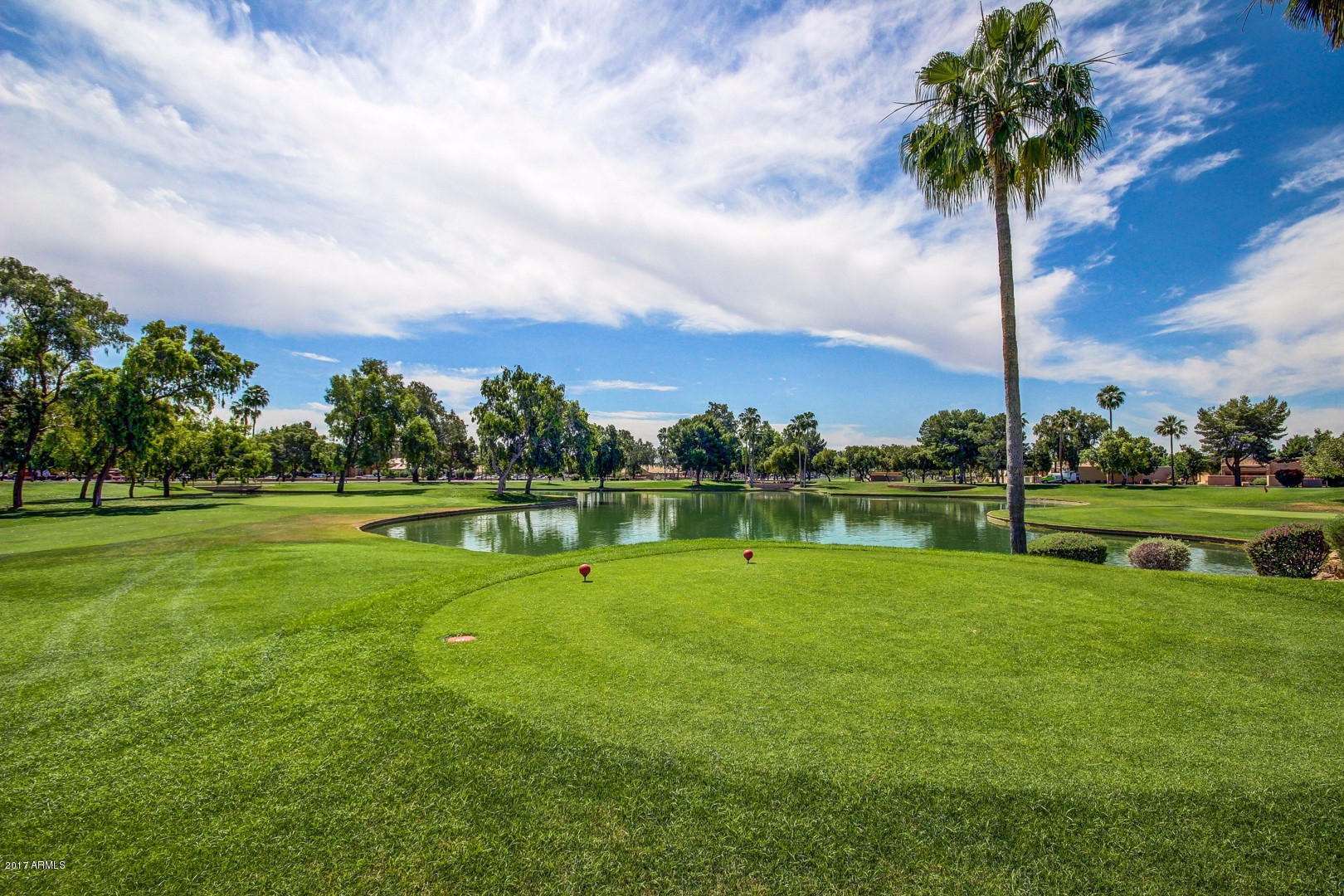 14300 West Bell Road, Unit 447 Surprise, AZ 85374 - Photo 32 of 48 Sun Village (16)