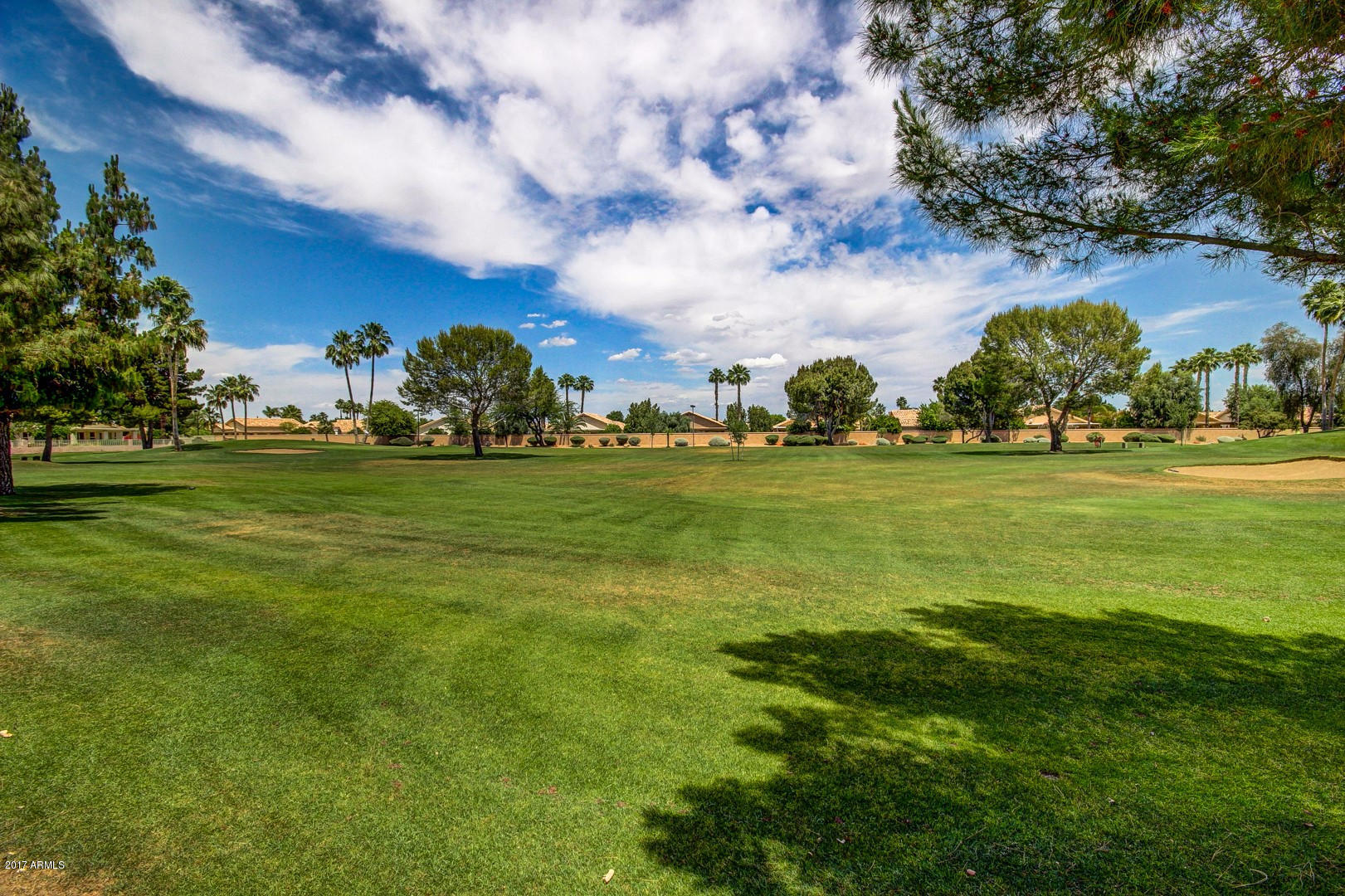 14300 West Bell Road, Unit 447 Surprise, AZ 85374 - Photo 45 of 48 Sun Village (31)