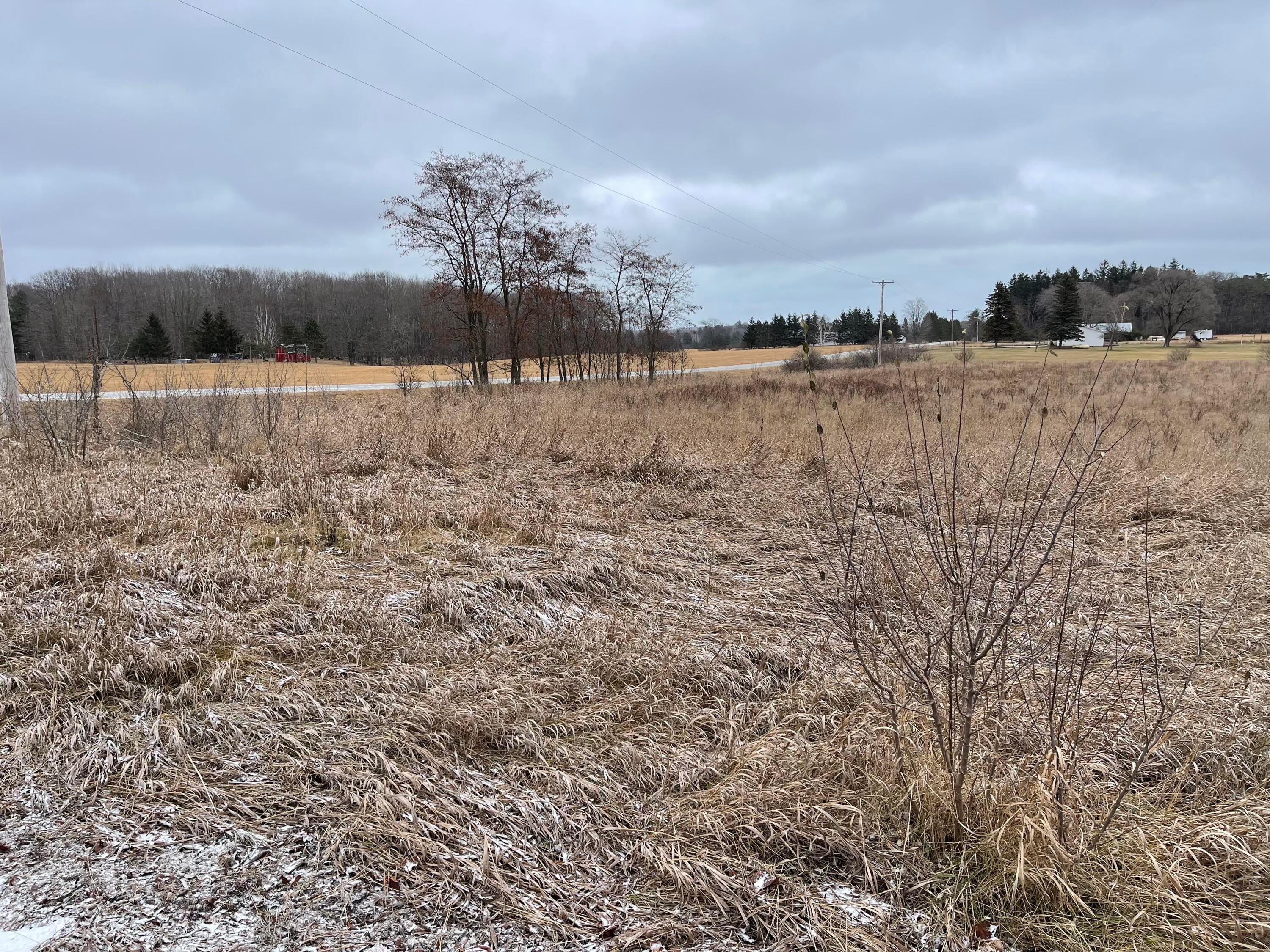 Nhn Quick Road Lincoln, MI 48742 - Photo 3 of 3