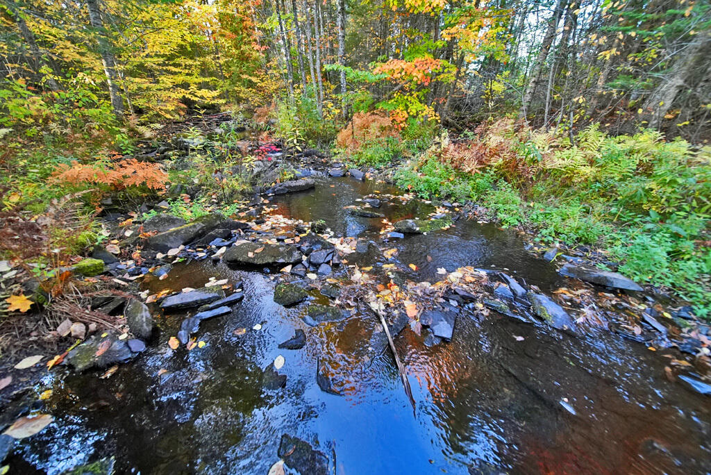 777 Bancroft Road Weston, ME 04424 - Photo 47 of 59 trout-brook-weston-maine