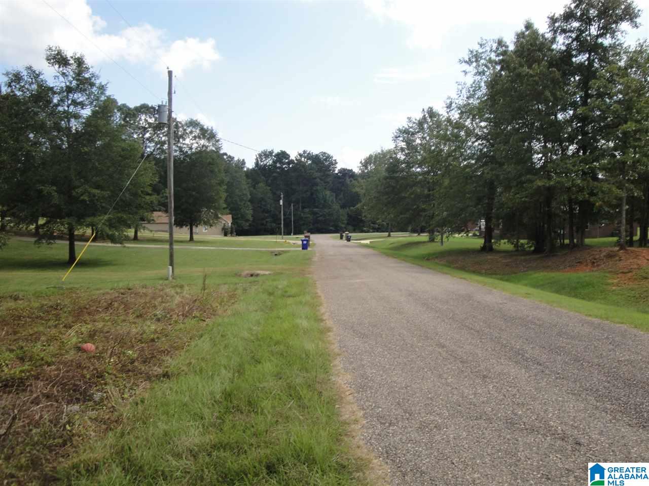 0 Hitching Post Circle, Unit 4 Cropwell, AL 35054 - Photo 4 of 4