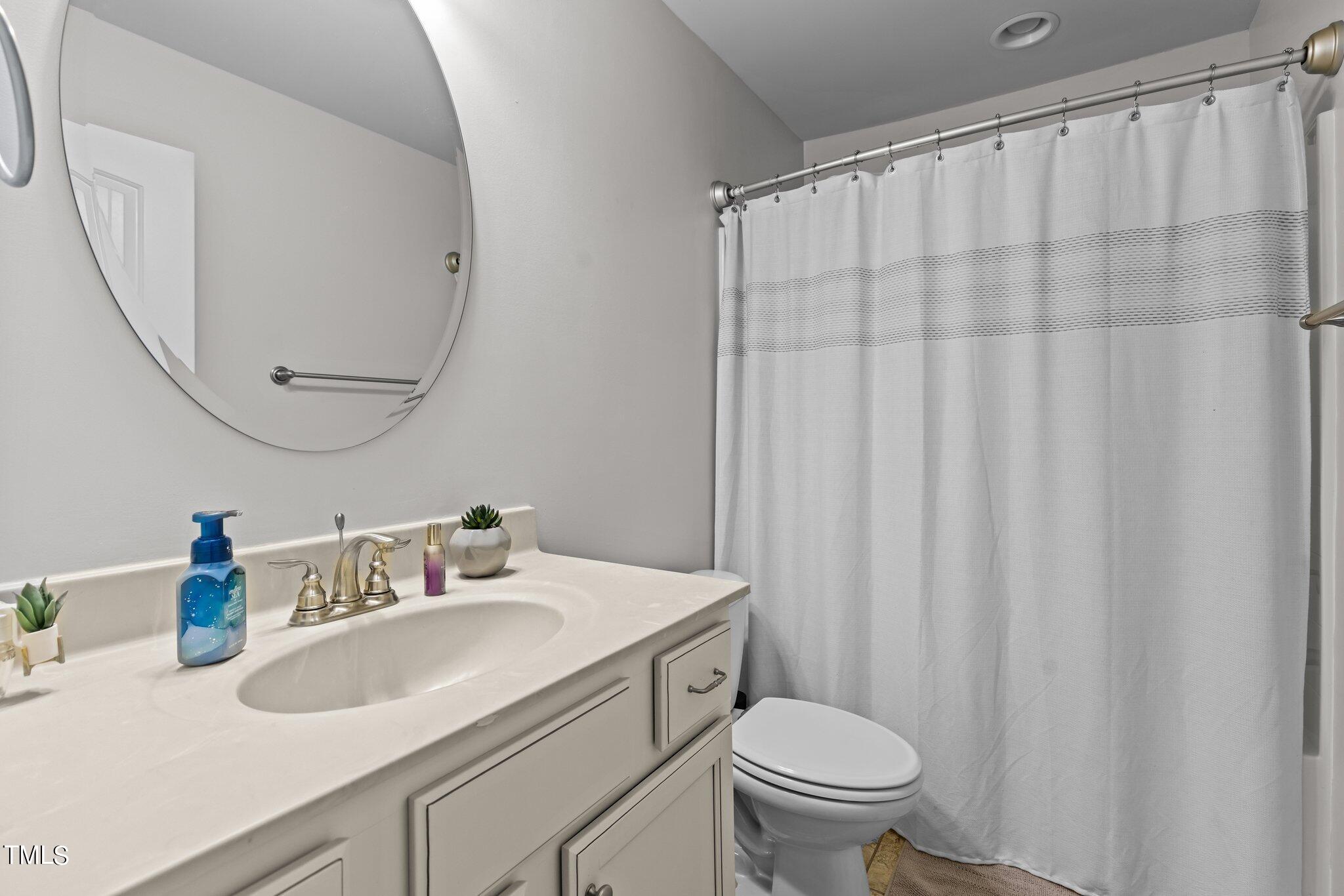 417 Bryerstone Drive Willow Spring, NC 27592 - Photo 28 of 43 a bathroom with a sink a toilet and a mirror