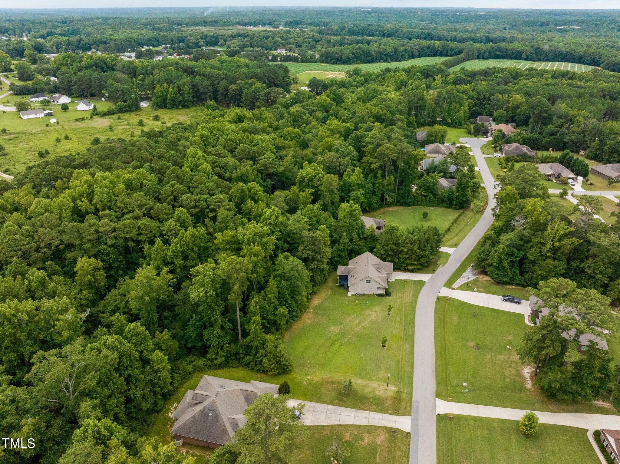 417 Bryerstone Drive Willow Spring, NC 27592 - Photo 38 of 43 an aerial view of residential houses with outdoor space and trees