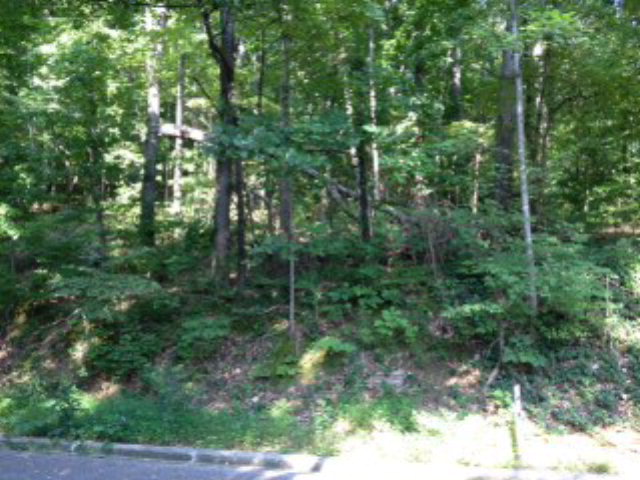 0 Rainsong Road Dalton, GA 30720 - Photo 1 of 1 Main View