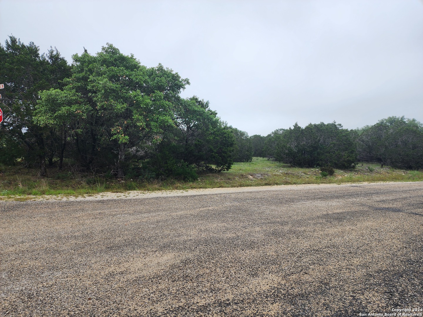 0 Serenity Oaks 2 Spring Branch, TX 78070 - Photo 1 of 16