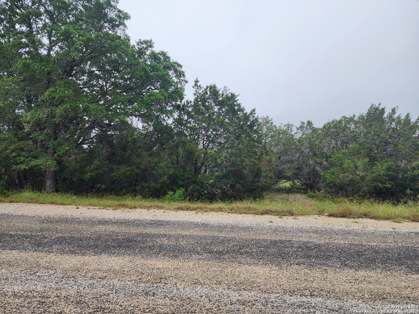 0 Serenity Oaks 2 Spring Branch, TX 78070 - Photo 11 of 16