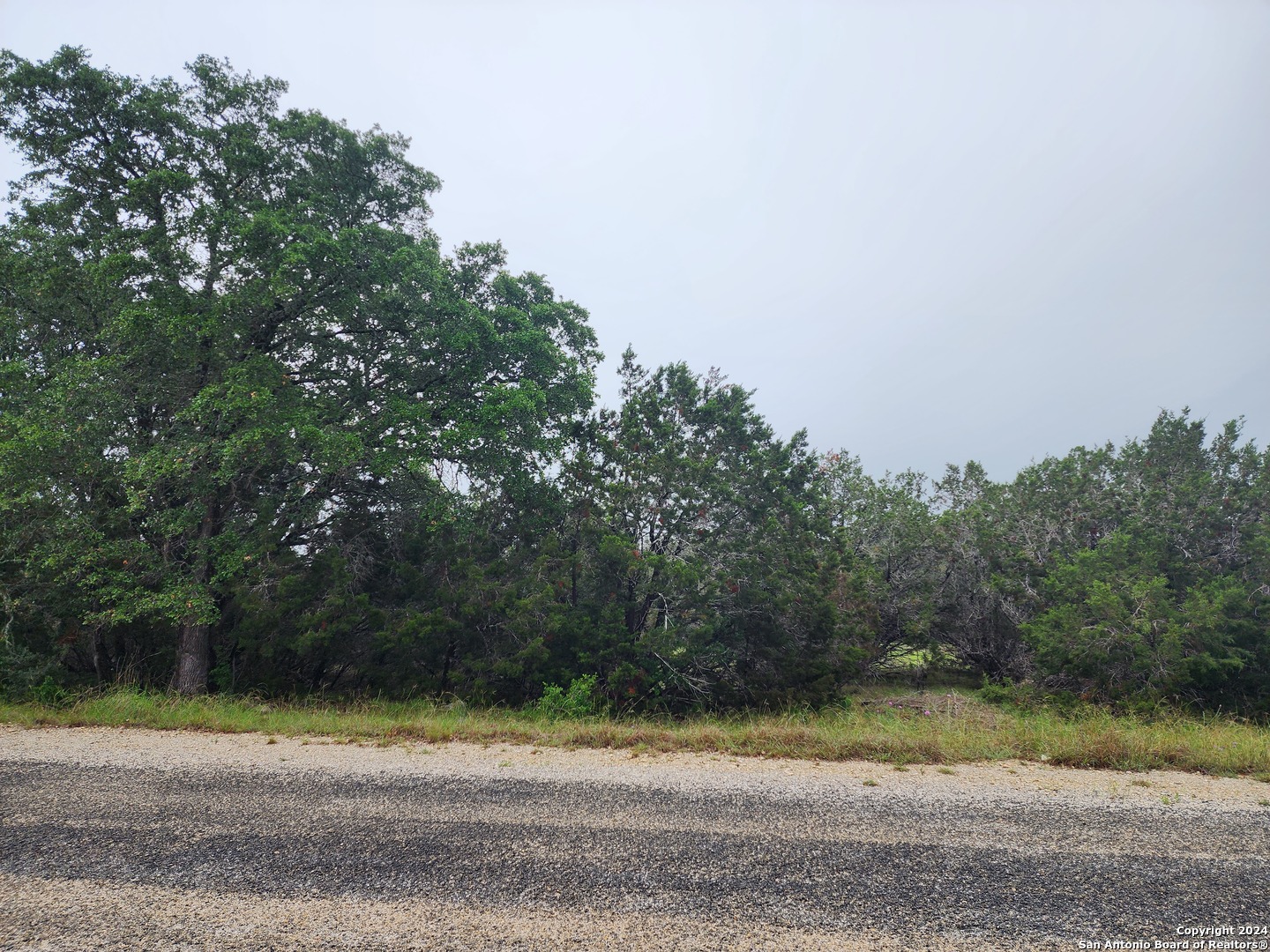 0 Serenity Oaks 2 Spring Branch, TX 78070 - Photo 12 of 16