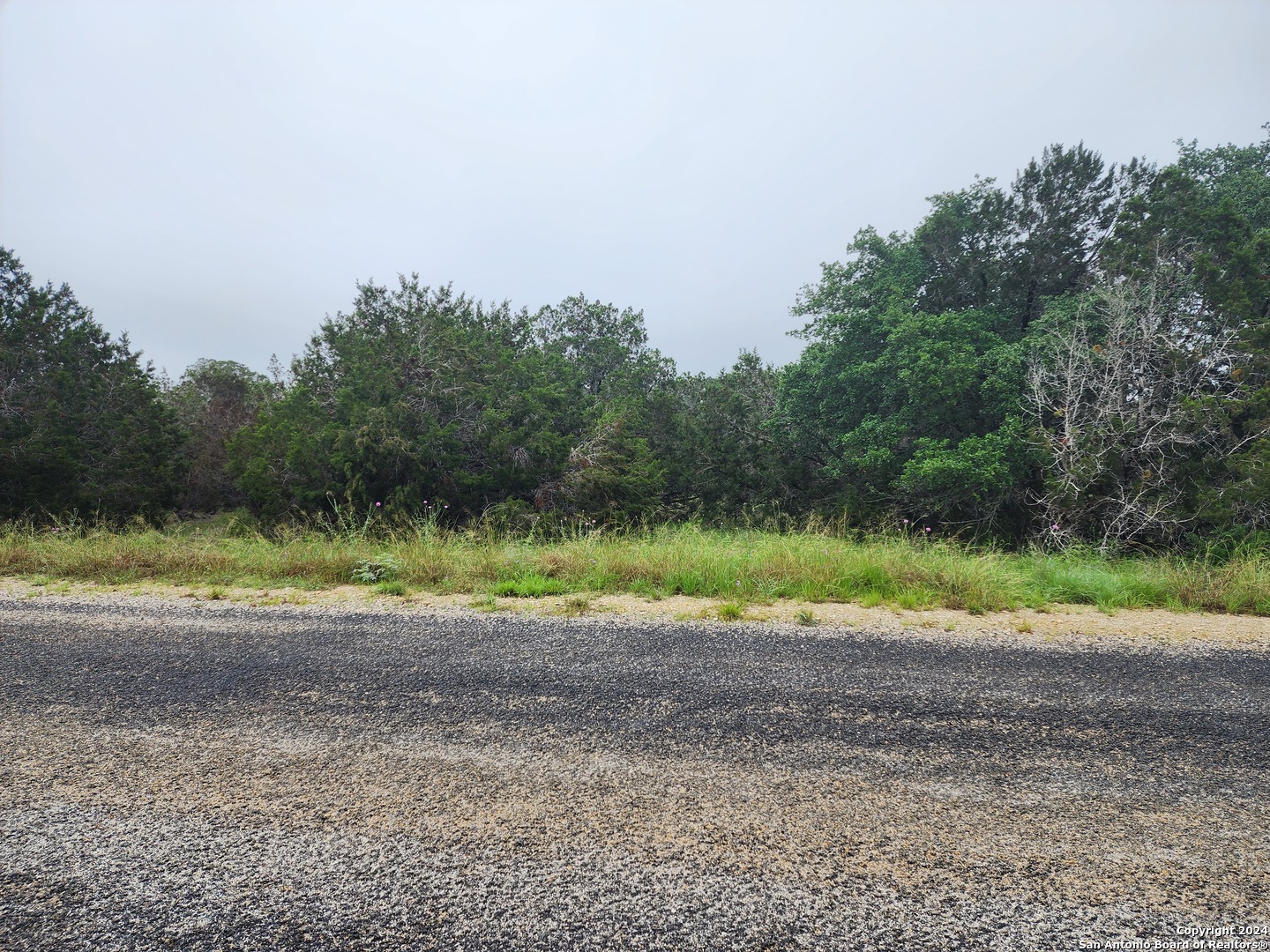 0 Serenity Oaks 2 Spring Branch, TX 78070 - Photo 9 of 16