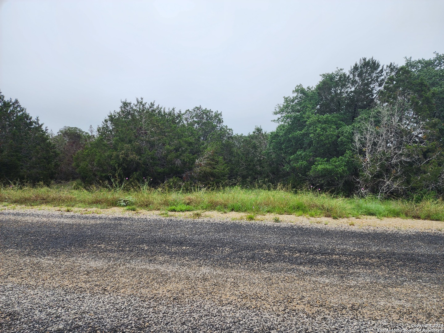 0 Serenity Oaks 2 Spring Branch, TX 78070 - Photo 10 of 16