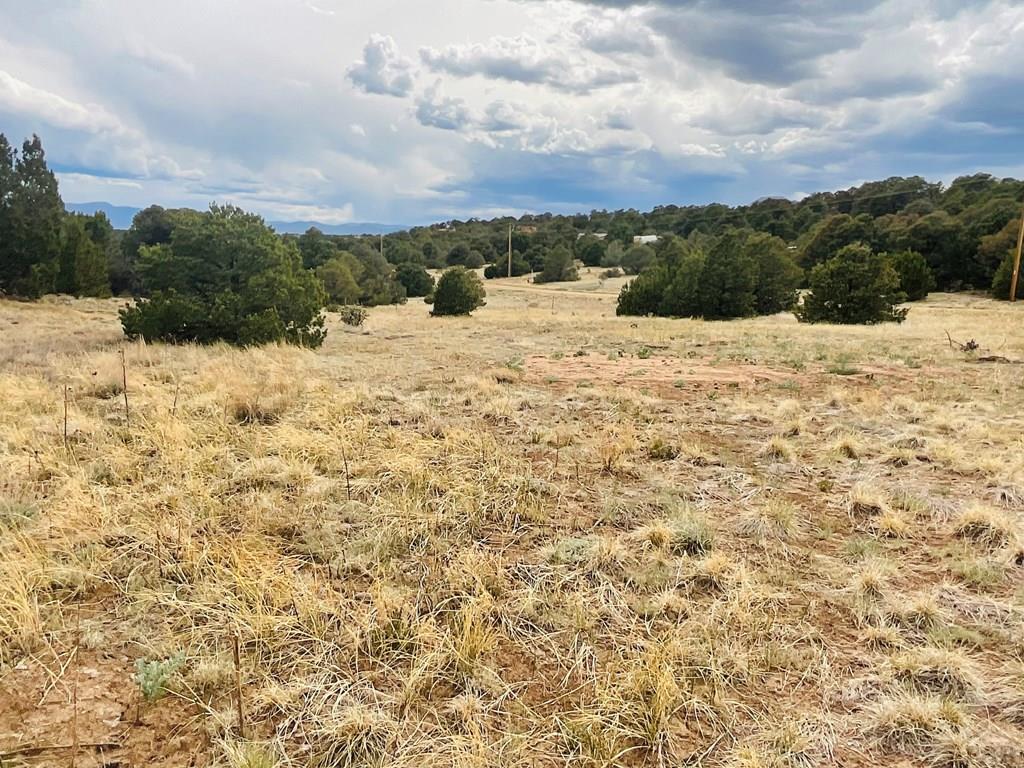 Lot 17 Navajo Ranch Walsenburg, CO 81089 - Photo 9 of 26