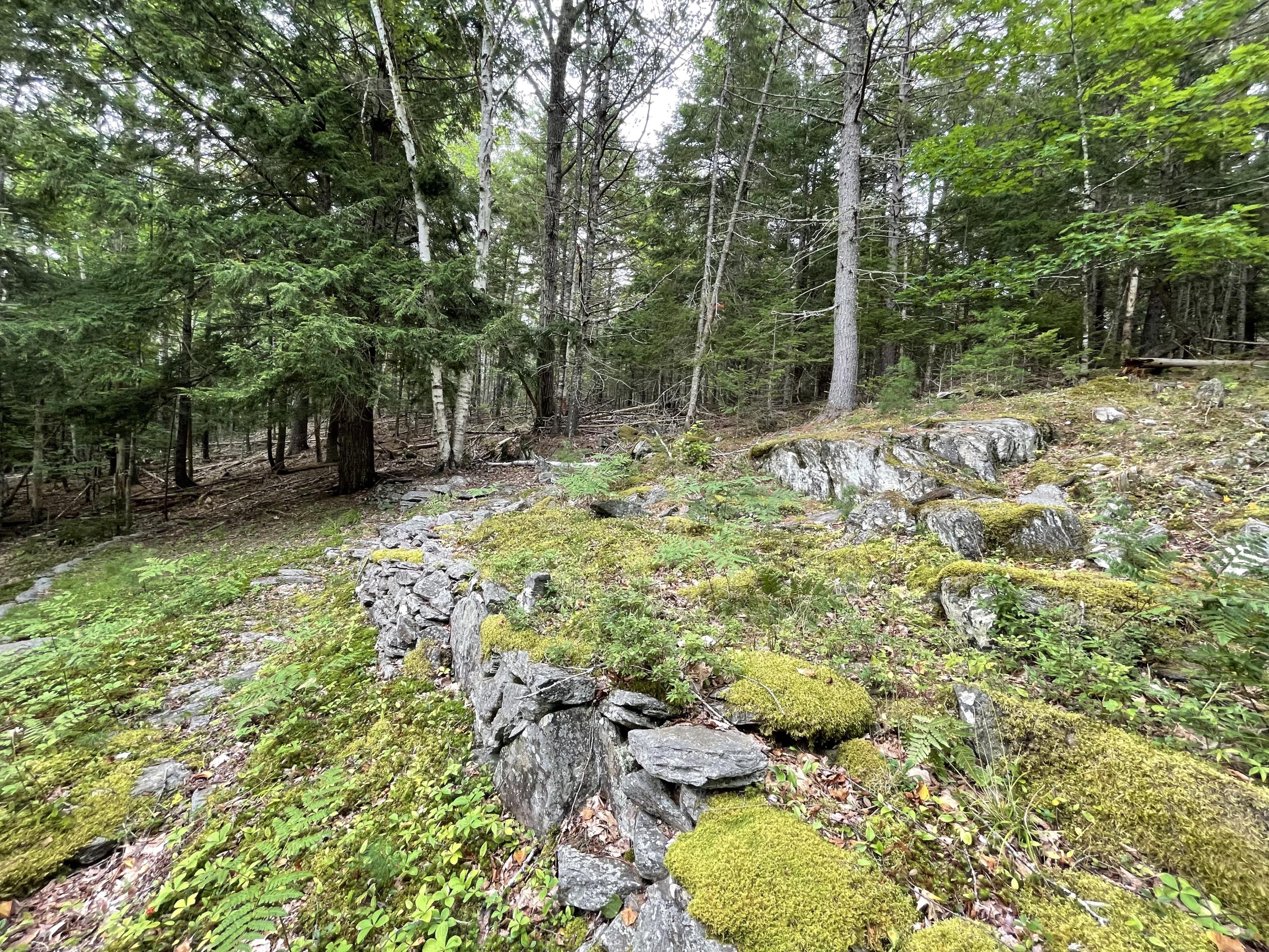 380 Magog Road Searsmont, ME 04973 - Photo 10 of 18 IMG_2854