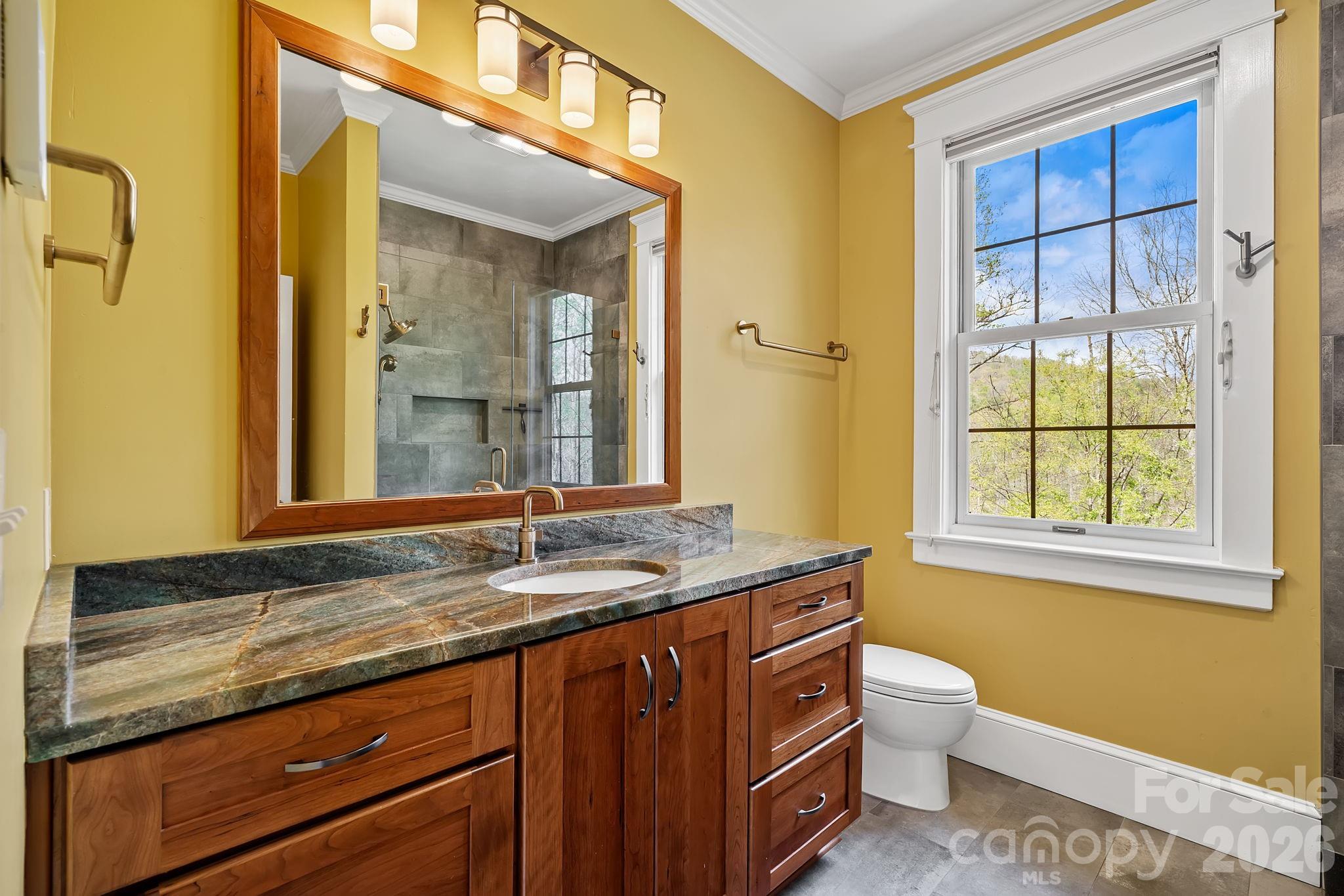 22 Lone Coyote Ridge Fletcher, NC 28732 - Photo 19 of 34