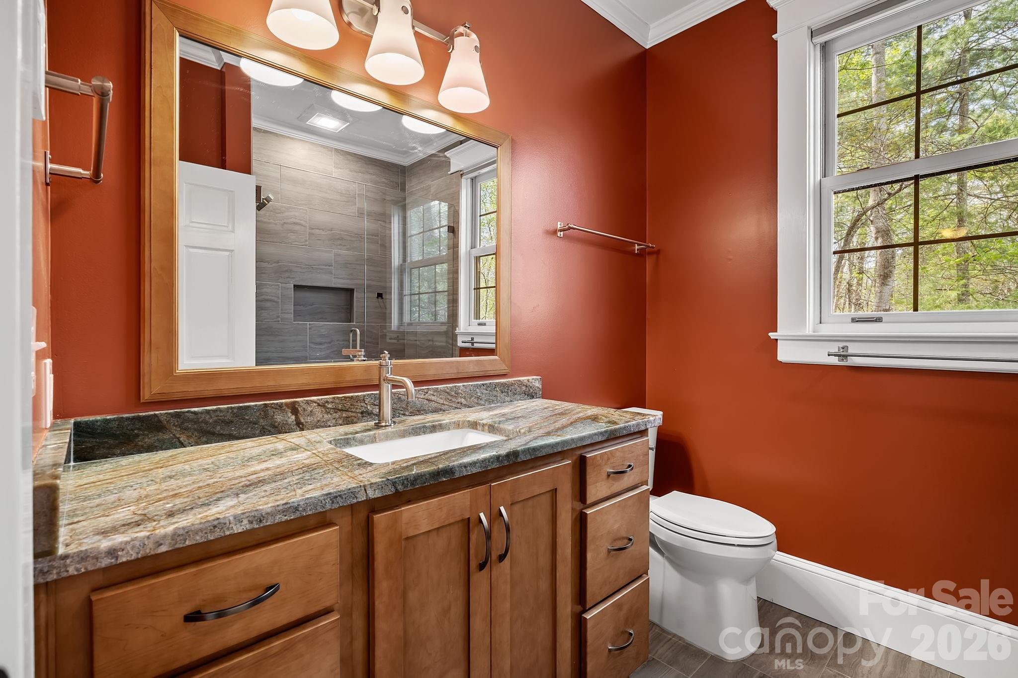 22 Lone Coyote Ridge Fletcher, NC 28732 - Photo 25 of 34