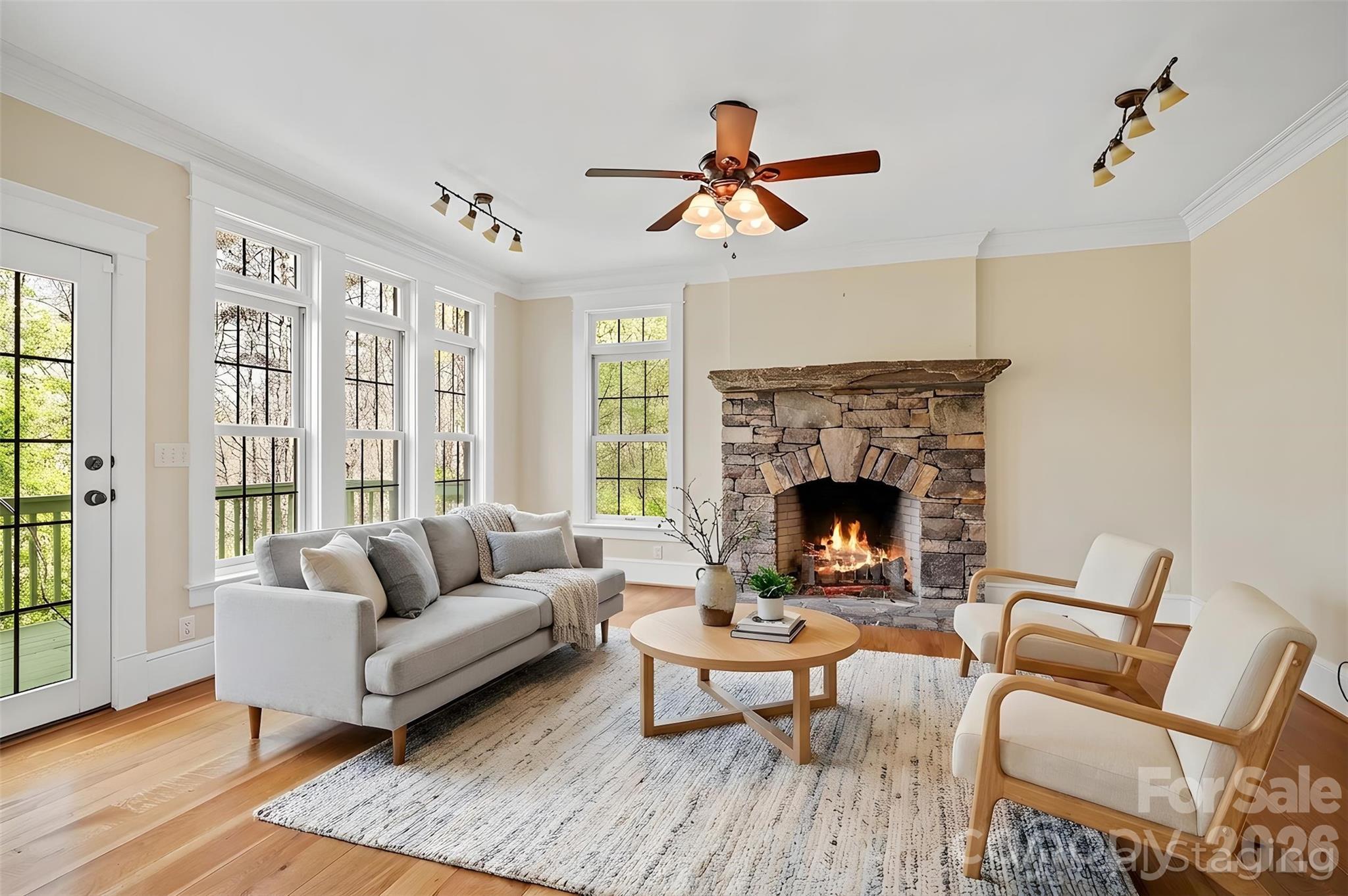 22 Lone Coyote Ridge Fletcher, NC 28732 - Photo 6 of 34