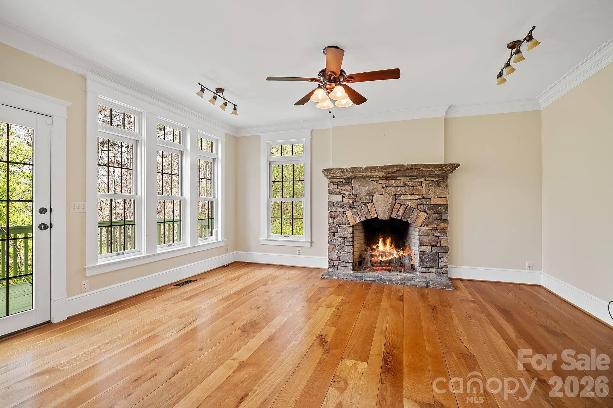 22 Lone Coyote Ridge Fletcher, NC 28732 - Photo 7 of 34