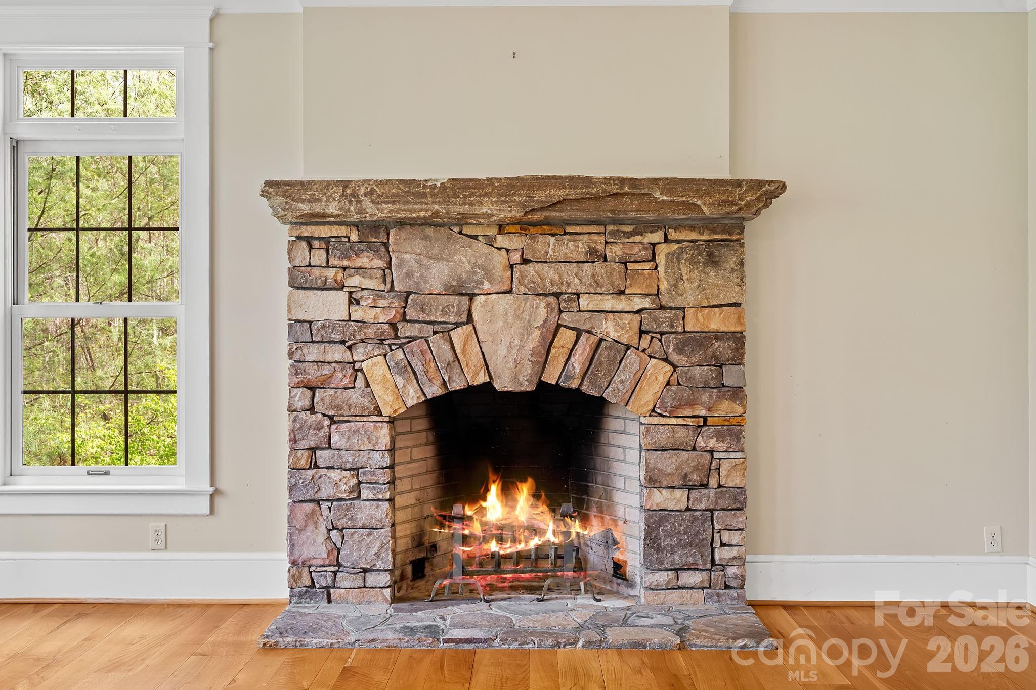 22 Lone Coyote Ridge Fletcher, NC 28732 - Photo 8 of 34