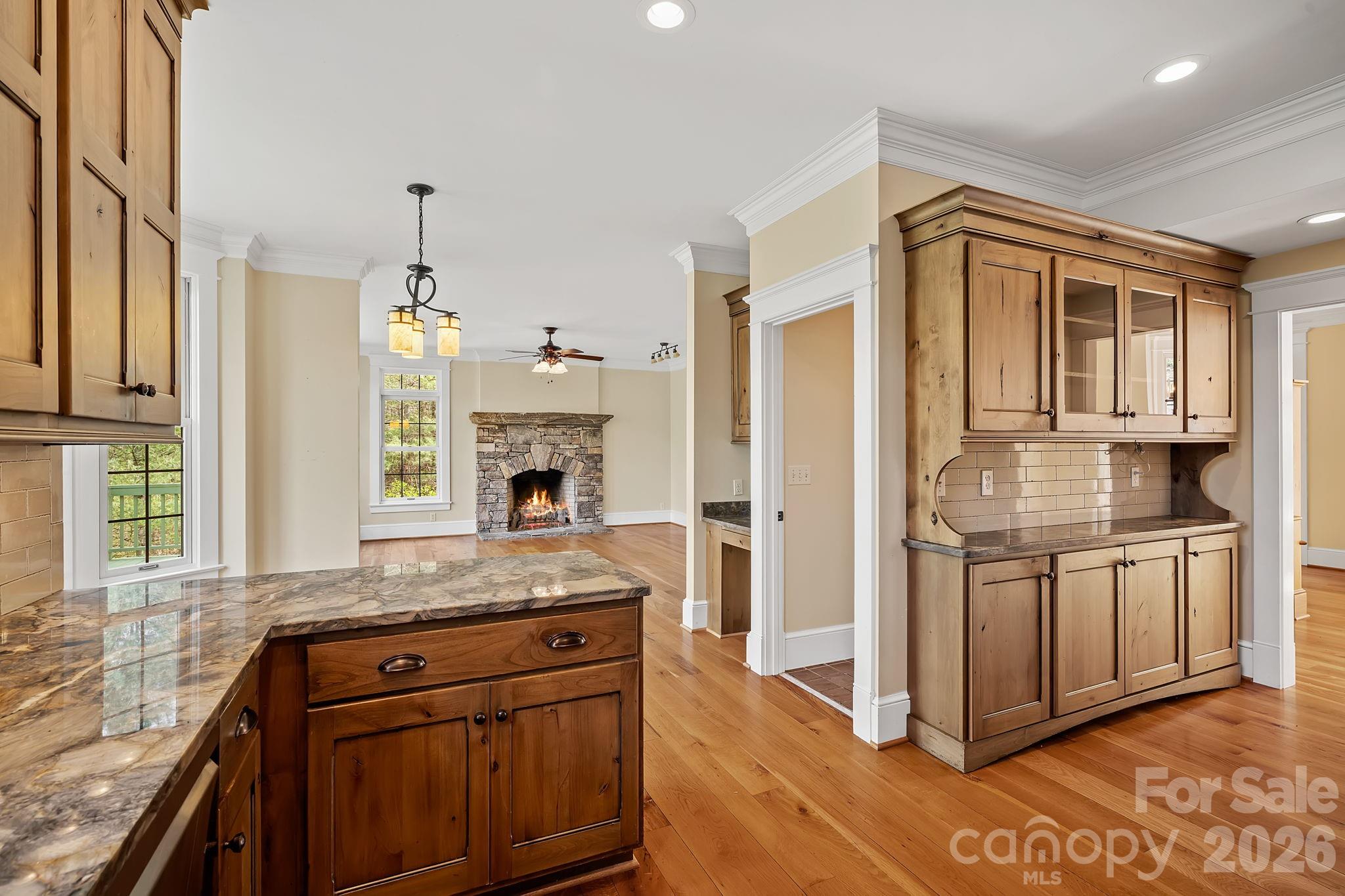 22 Lone Coyote Ridge Fletcher, NC 28732 - Photo 10 of 34